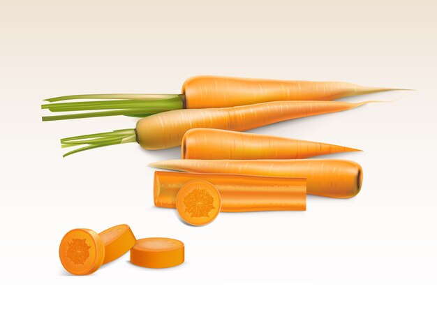 illustration réaliste de carotte orange, morceaux entiers et tranchés isolés sur fond.