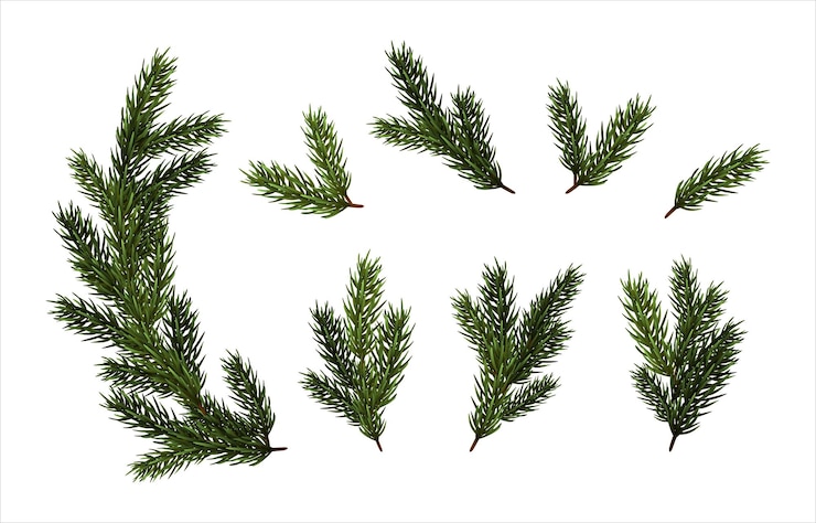 Vecteur gratuit illustration réaliste de l'ensemble d'icônes vectorielles collection d'éléments de branche de différentes tailles
