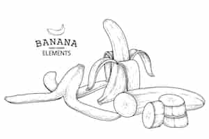 Vecteur gratuit illustration rétro de banane dessinés à la main