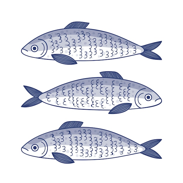 Illustration De Sardines Dessinées à La Main