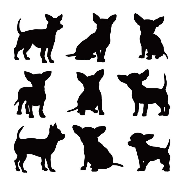Illustration de silhouette chihuahua design plat