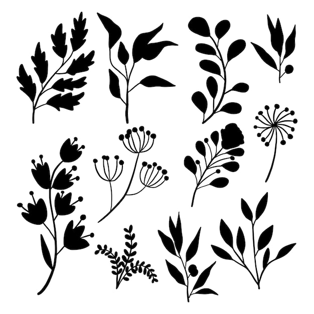 Illustration De Silhouettes De Fleurs Design Plat