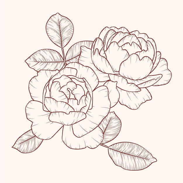Illustration simple du contour d'une fleur dessinée à la main