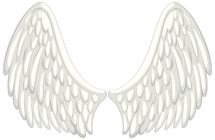 Vecteur gratuit illustration vectorielle des ailes des anges