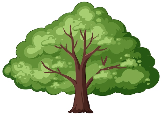 Vecteur gratuit illustration vectorielle de l'arbre vert luxuriant