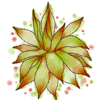 Illustration vectorielle art ligne de plante succulente sur aquarelle avec croquis d'agava de fond de taches
