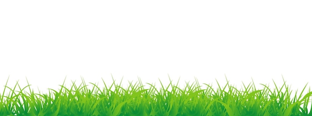 Illustration vectorielle de bordure d'herbe