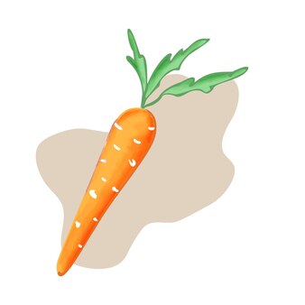 Illustration vectorielle de carotte. style simple dessiné à la main. illustration vectorielle