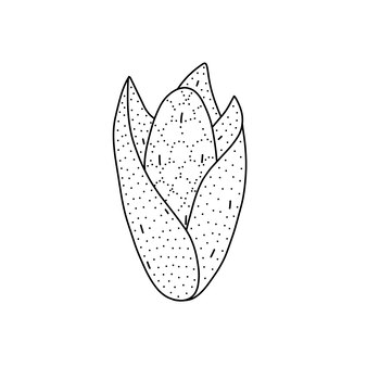 Illustration vectorielle dessinés à la main d'un maïs sucré dans un style doodle illustration mignonne