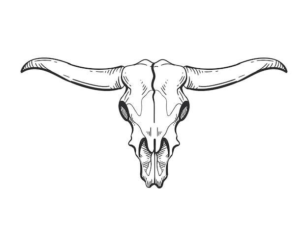 Vecteur gratuit illustration vectorielle de l'icône isolée du crâne de taureau