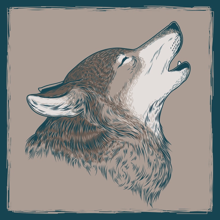 Vecteur gratuit illustration vectorielle d'un loup qui hurle
