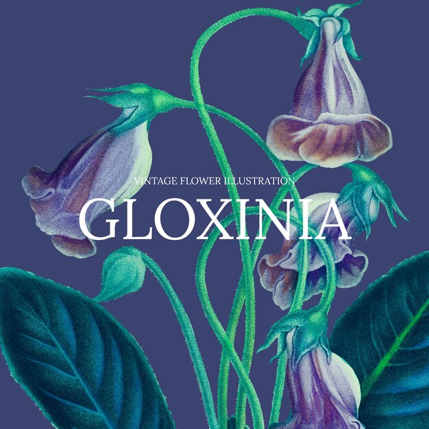 Illustration vectorielle de modèle floral vintage avec fond de gloxinia, remixé à partir d'œuvres d'art du domaine public