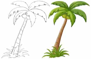 Vecteur gratuit illustration vectorielle des palmiers tropicaux