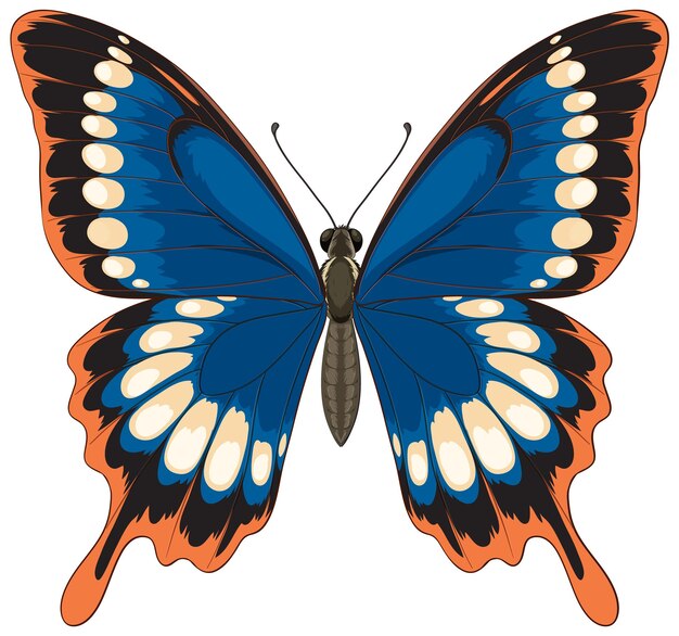 Illustration vectorielle de papillon vibrante avec des couleurs audacieuses