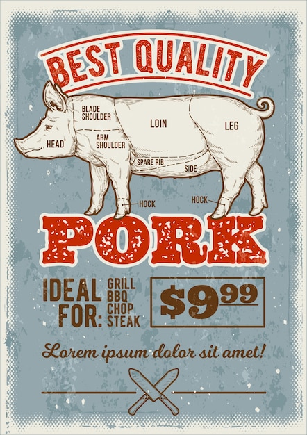 Illustration vectorielle porc dans le style de la gravure