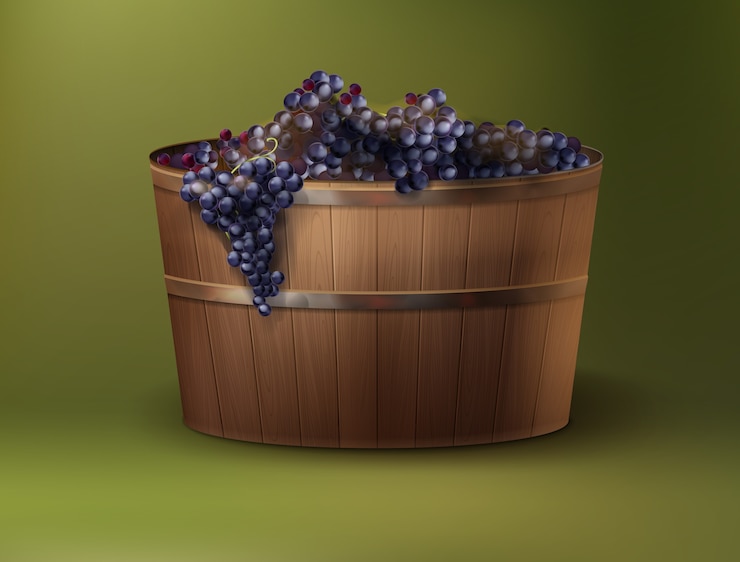 Vecteur gratuit illustration vectorielle de raisins de cuve fraîchement récoltés dans une cuve en bois sur fond vert