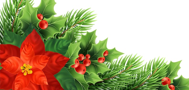 Illustration vectorielle réaliste de fleur de poinsettia de Noël. Plantes décoratives de Noël. Brindilles de houx, baies rouges, poinsettia et branches de sapin Décoration de Noël. Bannière isolée, élément de conception d'affiche