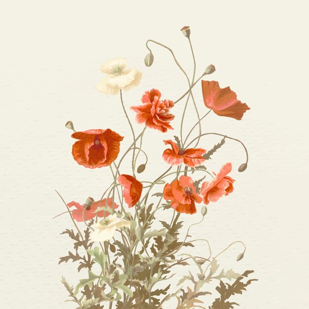 Illustration vintage de fleur de pavot, remixée à partir d'œuvres d'art du domaine public