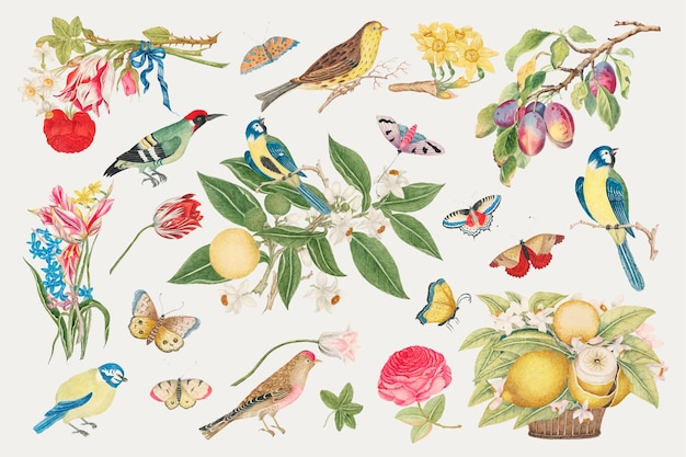 Illustration vintage d'oiseaux et de fleurs, remixée à partir d'œuvres d'art du XVIIIe siècle provenant des archives du Smithsonian.