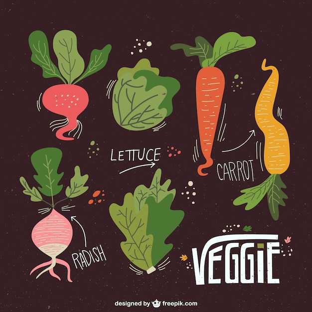 Vecteur gratuit illustré collecte de légumes