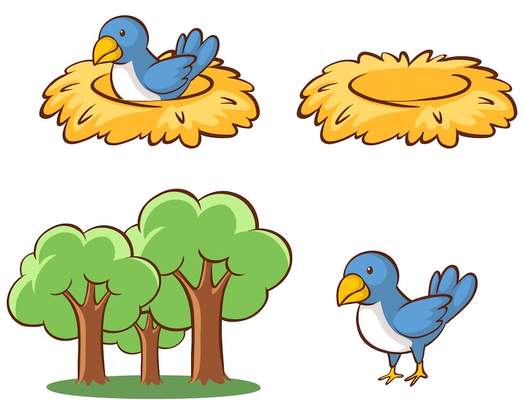 Vecteur gratuit une image isolée d'oiseaux et d'un nid