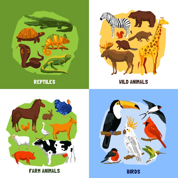 Vecteur gratuit images du dessin animé 2x2 zoo