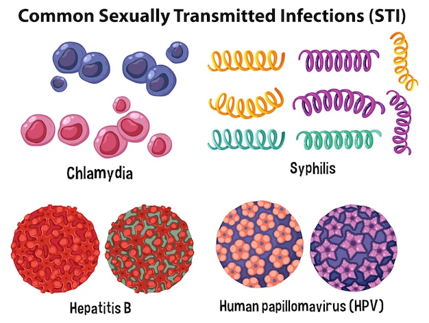 Vecteur gratuit infections sexuellement transmissibles courantes ist