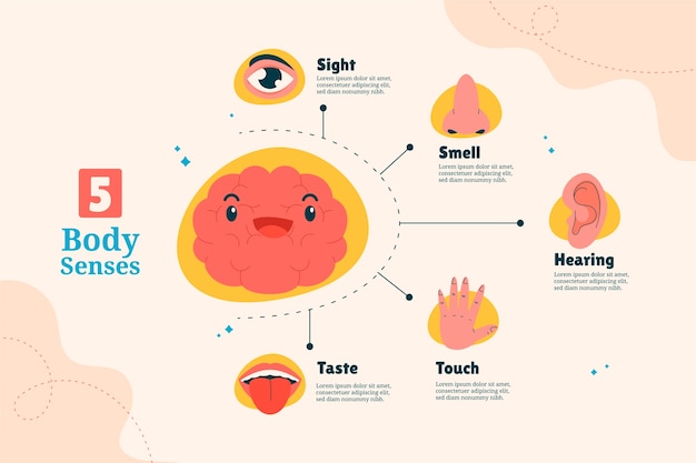 Vecteur gratuit infographie des 5 sens dessinés à la main