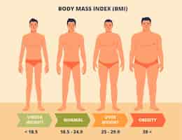 Vecteur gratuit infographie bmi dessinée à la main