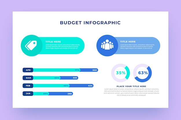 Infographie Budgétaire Avec Différents éléments Illustrés