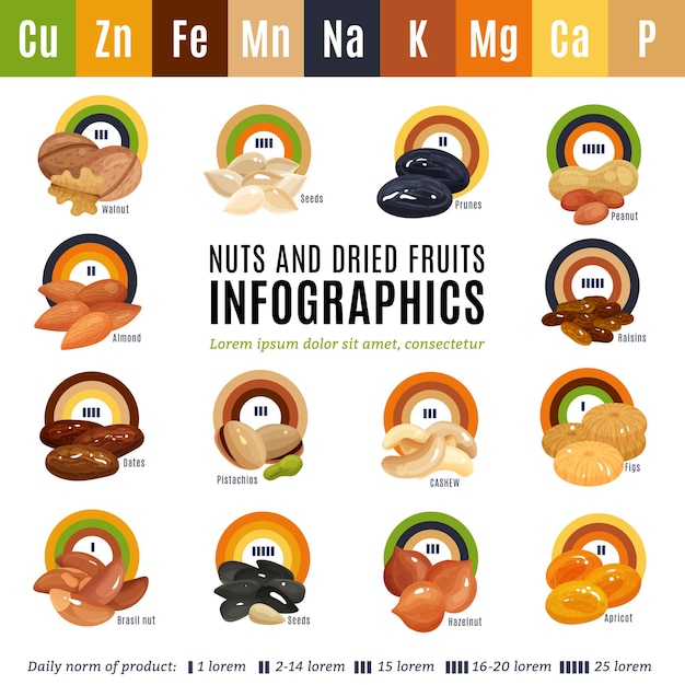 Vecteur gratuit infographie de conception plate présentant des informations sur les noix et les fruits secs un