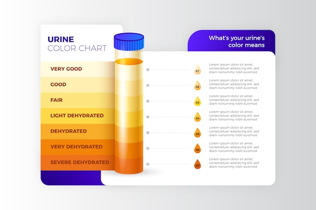 Vecteur gratuit infographie de la couleur de l'urine dégradée