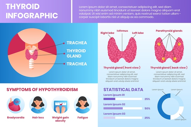 Vecteur gratuit infographie dégradée de la thyroïde