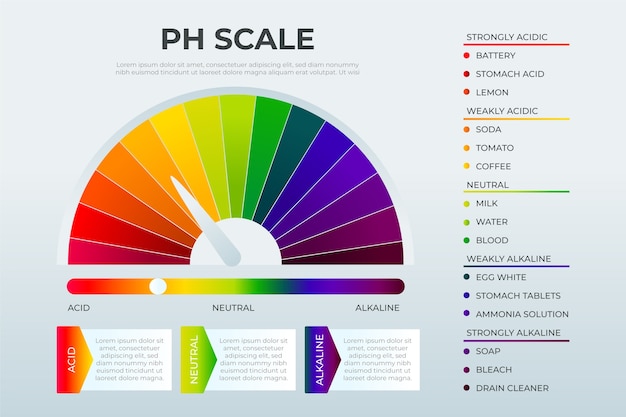 Vecteur gratuit infographie de l'échelle de ph dégradé