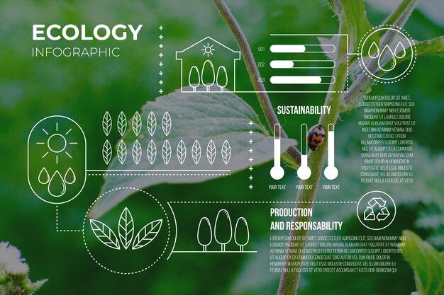 Infographie de l'écologie avec modèle photo