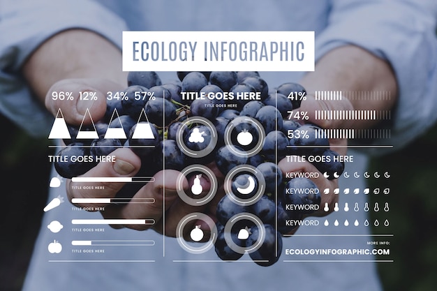 Infographie De L'écologie Avec Photo