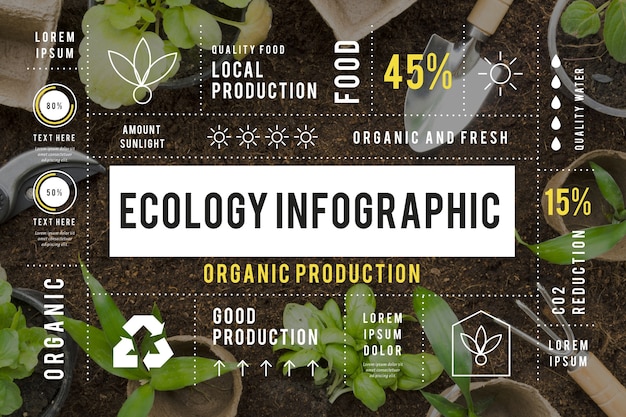 Vecteur gratuit infographie de l'écologie avec photo