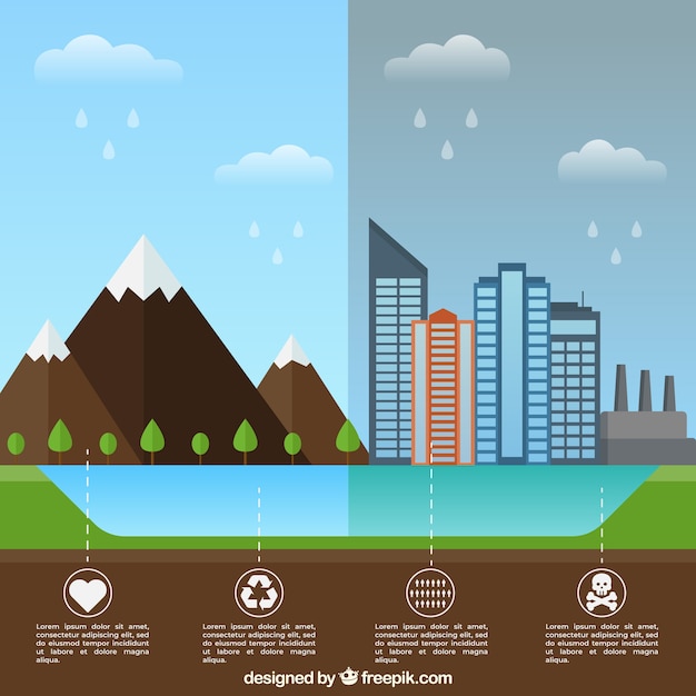 Infographie De L'écosystème