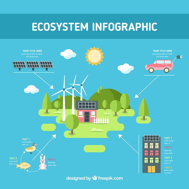 Infographie de l&#39;écosystème