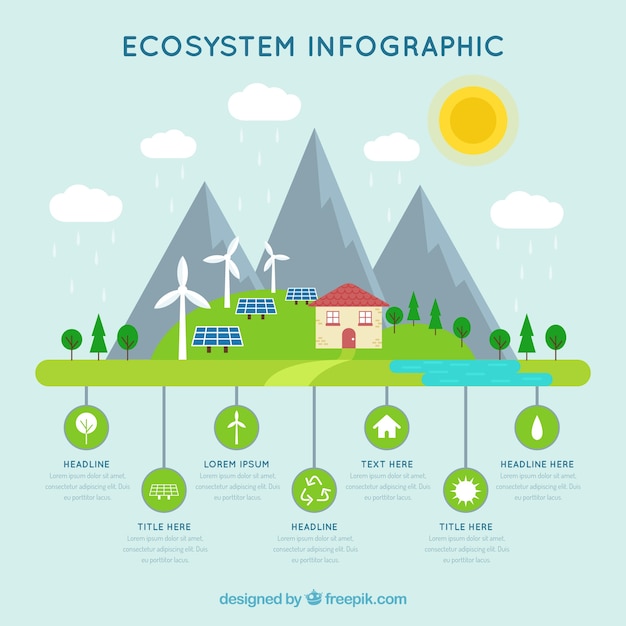 Vecteur gratuit infographie de l'écosystème