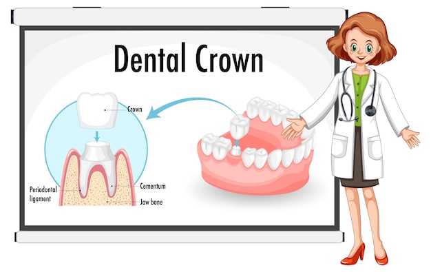 Vecteur gratuit infographie de l'humain dans la couronne dentaire