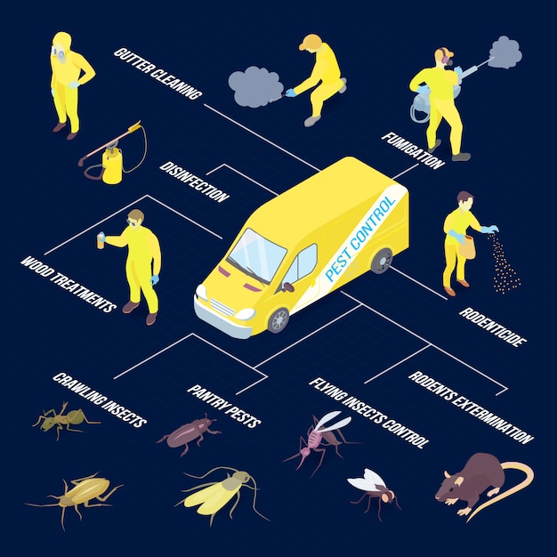 Infographie Isométrique Avec Divers Ravageurs Et Méthodes De Désinfection Illustration Vectorielle 3d