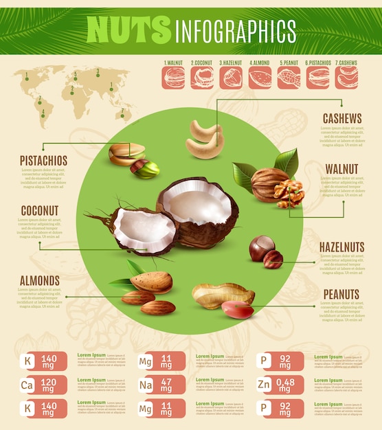 Vecteur gratuit infographie des noix réalistes