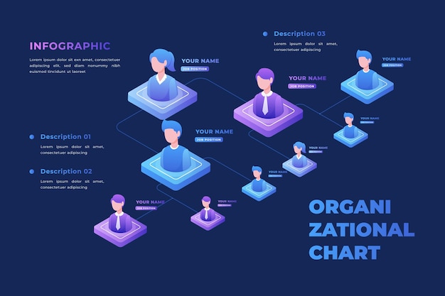 Infographie De L'organigramme Isométrique