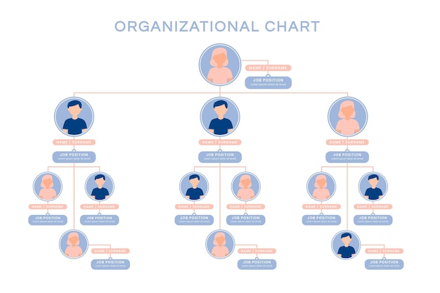 Vecteur gratuit infographie d'organigramme plat linéaire