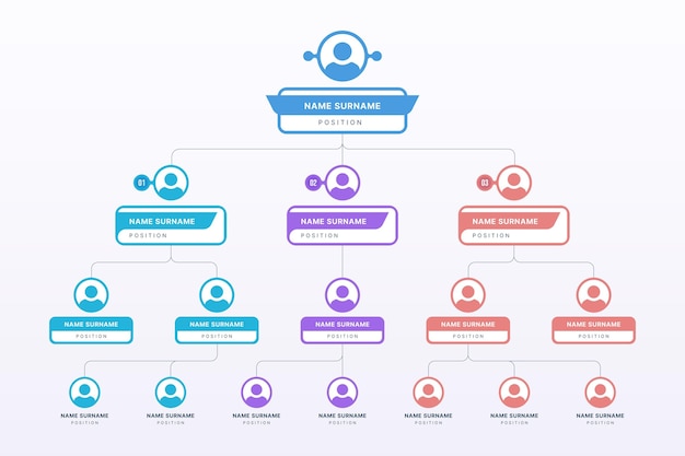 Vecteur gratuit infographie de l'organigramme plat