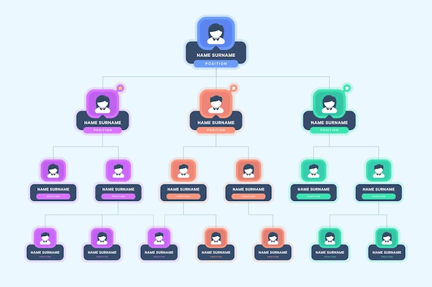 Vecteur gratuit infographie de l'organigramme plat