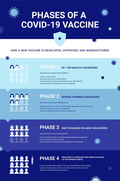 Infographie des phases du vaccin plat contre le coronavirus