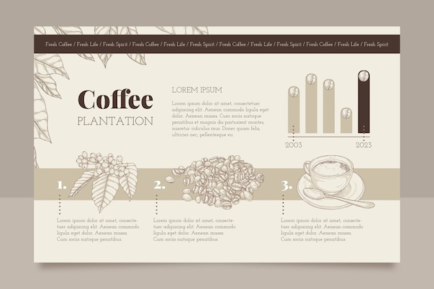 Infographie de la plantation de café dessinée à la main