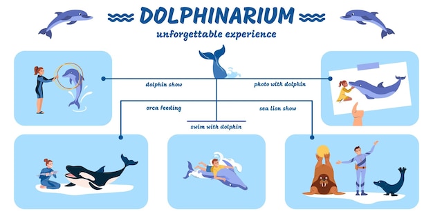 Vecteur gratuit infographie plate du delphinarium avec des dauphins et des lions de mer montrent des photos d'orques se nourrissant de nager avec des animaux illustration vectorielle